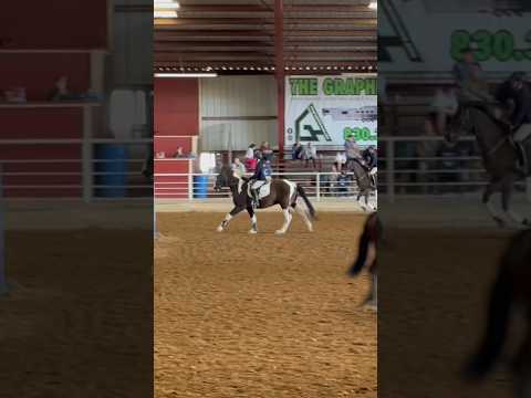 best flat class ever! #fypシ #equestrian #horse #zone7