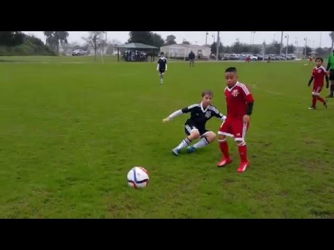 Tampa Dynamo FC U10 vs San Carlos Park Scorpions