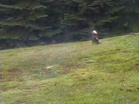 XTM Racing Nitro X-Cellerator 1/10 Scale 2WD Racing Stadium radio control Truck