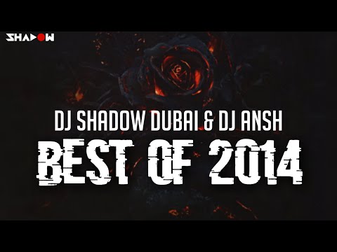 DJ Shadow Dubai & DJ Ansh - Best Of 2014 Mashup