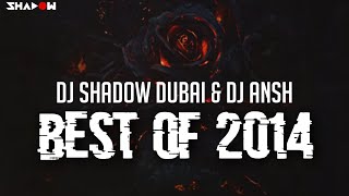 DJ Shadow Dubai & DJ Ansh - Best Of 2014 Mashup