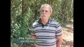 Miniatura do vídeo