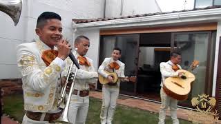 Video de Mariachi Juvenil Fernández