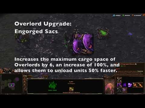 A War Story: Faction Showcase - The Ravagers 01