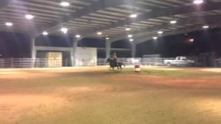 Playboys Sugar Gal Willis, TX