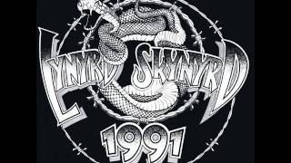 Lynyrd Skynyrd - Backstreet Crawler.wmv