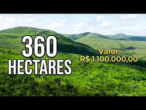Oportunidade em Itacambira: 360 hectares para Reserva Florestal ou Compensação Ambiental #reserva