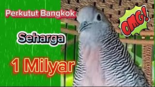 Download lagu Perkutut Bangkok!! Seharga 1 milyar#videos#birds#Suryaperkutut mp3