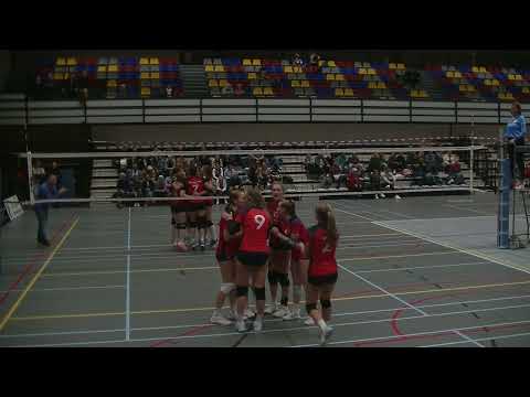 vcv - taurus d1 04-11-2023 1