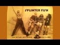 Splinter Fish Live In Taos NM July 13 1990