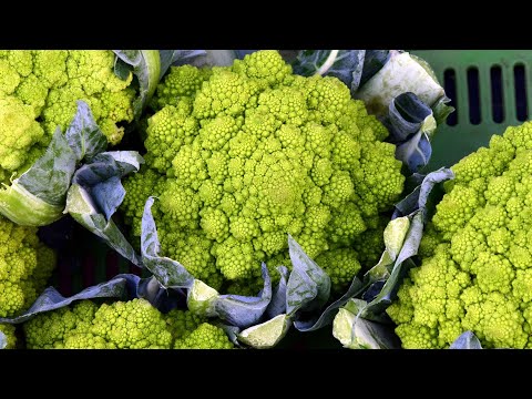 , title : '15 important health benefits of Cauliflower | Health And Nutrition'