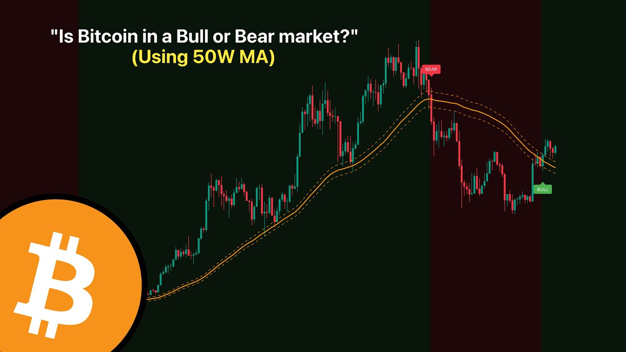 The Bull Market