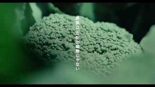 【福岡・飯塚】飯塚移住日和　～「農のある暮らしを始めよう。」編～ショートバージョン