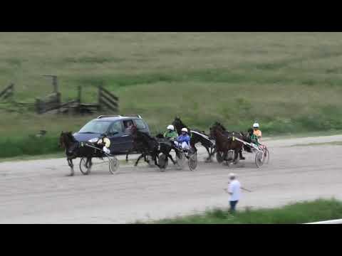 Trka "Dr Jova Radovanović" 26.05.2019 Angone Love - Zoran Petrović