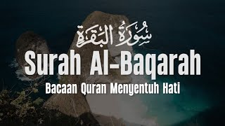 Download lagu SURAH AL BAQARAH - Setan Kabur dari Rumah - Penenang Hati dan Pikiran mp3