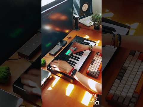 Kraftwerk - The Model (Live Loop Cover) | Launchkey MK4 #ableton #novation