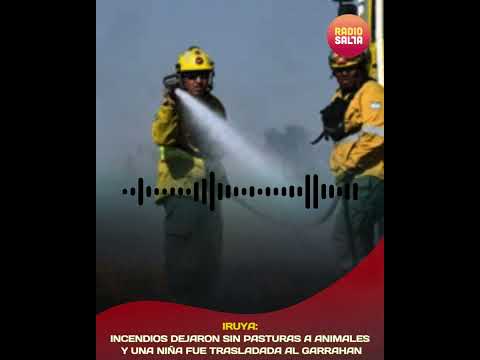 Incendios Forestales en Iruya dejaron sin pasturas a animales y una niña fue trasladada al Garrahan