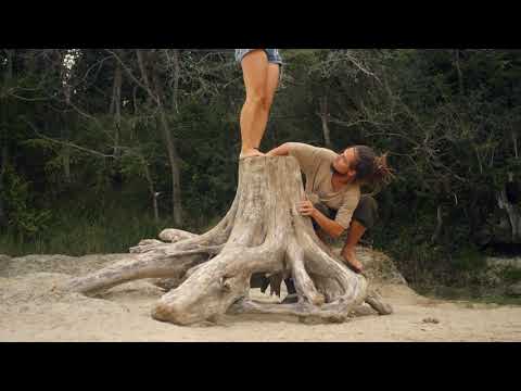 Hollow Bamboo - Blueberry (Video Teaser)