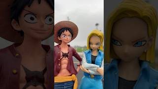 Android 18 & Luffy Shocked Reaction From Cat | Dragon Ball Toy