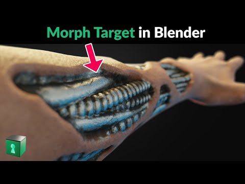Blender Secrets - Blend objects like “Morph Target” in Zbrush