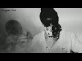 Get Crunk Lil Jon Feat 50 Cent Eminem 2Pac TNT Records Remix