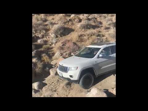 Quadra Trac 1 vs Quadra Trac 2 vs Quadra Drive