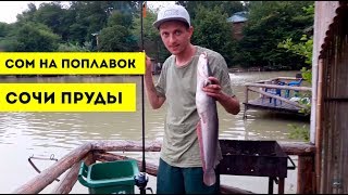 Ловля африканского сома на платнике
