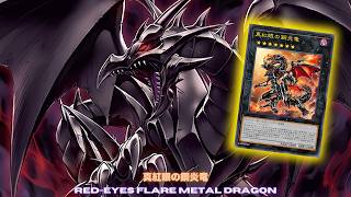 New Joey Card With Red-Eyes ! Red-Eyes DECK ft. Dark Time Wizard NEW CARD - YUGIOH
