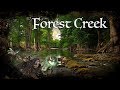 D&D Ambience - Forest Creek