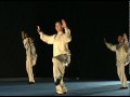 Kung Fu Heroes 2010 Promo