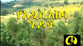 Ye Addis Ababa Gudoch Ethiopian New Full  Movie 20