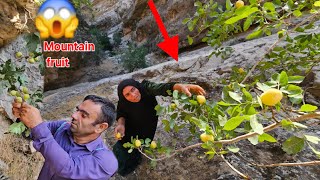 Download lagu 😱Revenge from the previous day in the mountains/Incredible fish catch and return with full hands🐟 mp3 Download lagu 😱Revenge from the previous day in the mountains/Incredible fish catch and return with full hands🐟 mp3