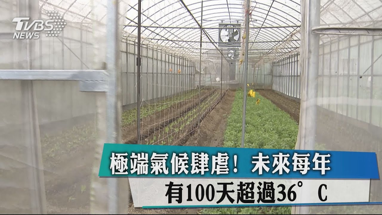 極端氣候肆虐！　未來每年有100天超過36°C