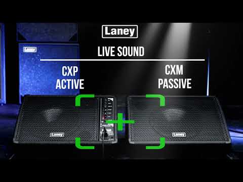 LANEYCONCEPT CXP-110 active stage monitor 65W 10" Powered Monitor wedge with Floor or Pole stand operation image 7