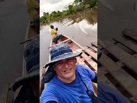 pantanal de Envira Amazonas