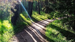 @Charlie Wilson - If I believe 🙏