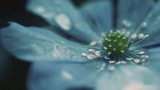 Download lagu BINNABIL HUDA BY UNIC mp3 Download lagu BINNABIL HUDA BY UNIC mp3