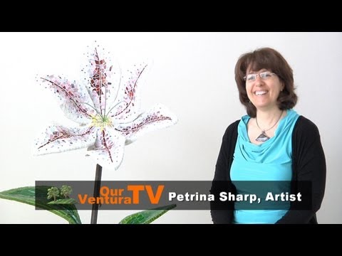 Creating Glass Mosaic Artwork – Our Ventura TV