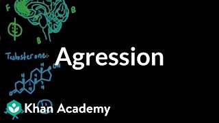 Aggression | Individuals and Society | MCAT | Khan Academy