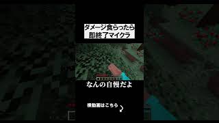 ダメージ食らったら即終了マイクラが鬼畜だったｗｗｗｗ マインクラフト 実況 mincraft #shorts
