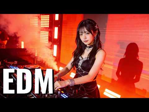 Avicii inspired Emotional EDM Songs ～The Journey: A Story of Life, Love & Tomorrow～