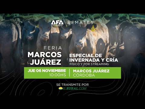 Remate AFA Especial de Invernada y Cría desde Marcos Juárez Córdoba