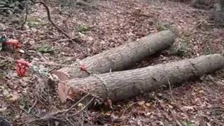 Felling Trees &amp; Dragging Logs