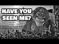 Whatever Happened To Paul The DNA Productions Chimp
