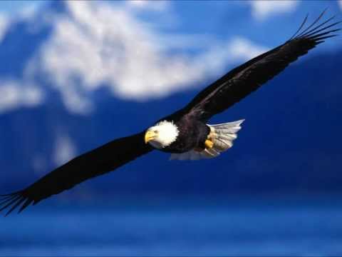 คอร์ดเพลง เสริมกำลังใหม่ - 