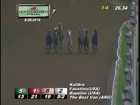 7MA CARRERA DOMINGO 28 DE AGOSTO 2016 HPR