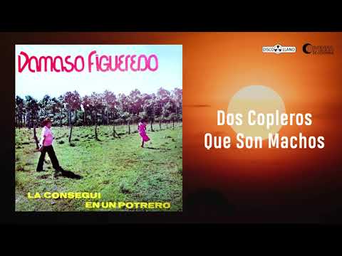 Dos Copleros Que Son Machos - Damaso Figueredo, Rafael Martínez | Música Llanera | Cover Audio