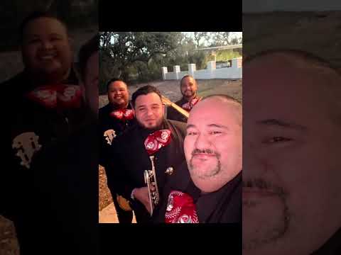 Promotional video thumbnail 1 for Mariachi Los Amores