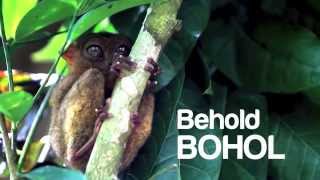 preview picture of video 'Tour Bohol Philippines - See tourist attractions in Bohol'