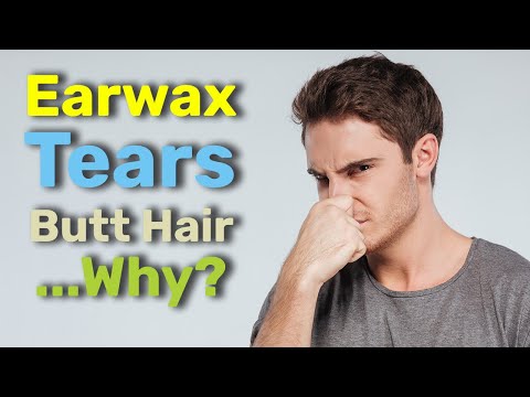 Why Do Humans Have Butt Hair? | IFLScience